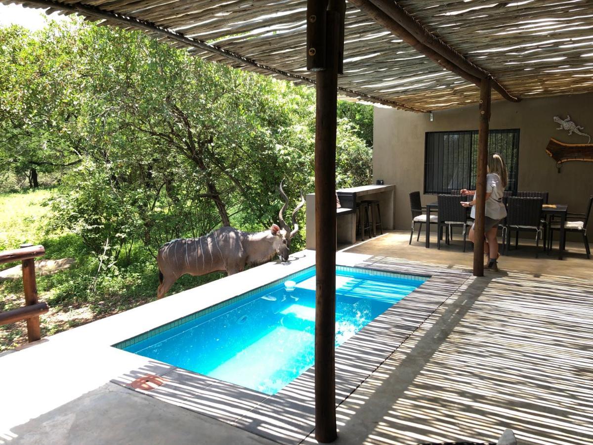 Kruger Willows Marloth Park Exterior foto